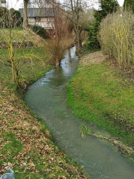 w06.jpg